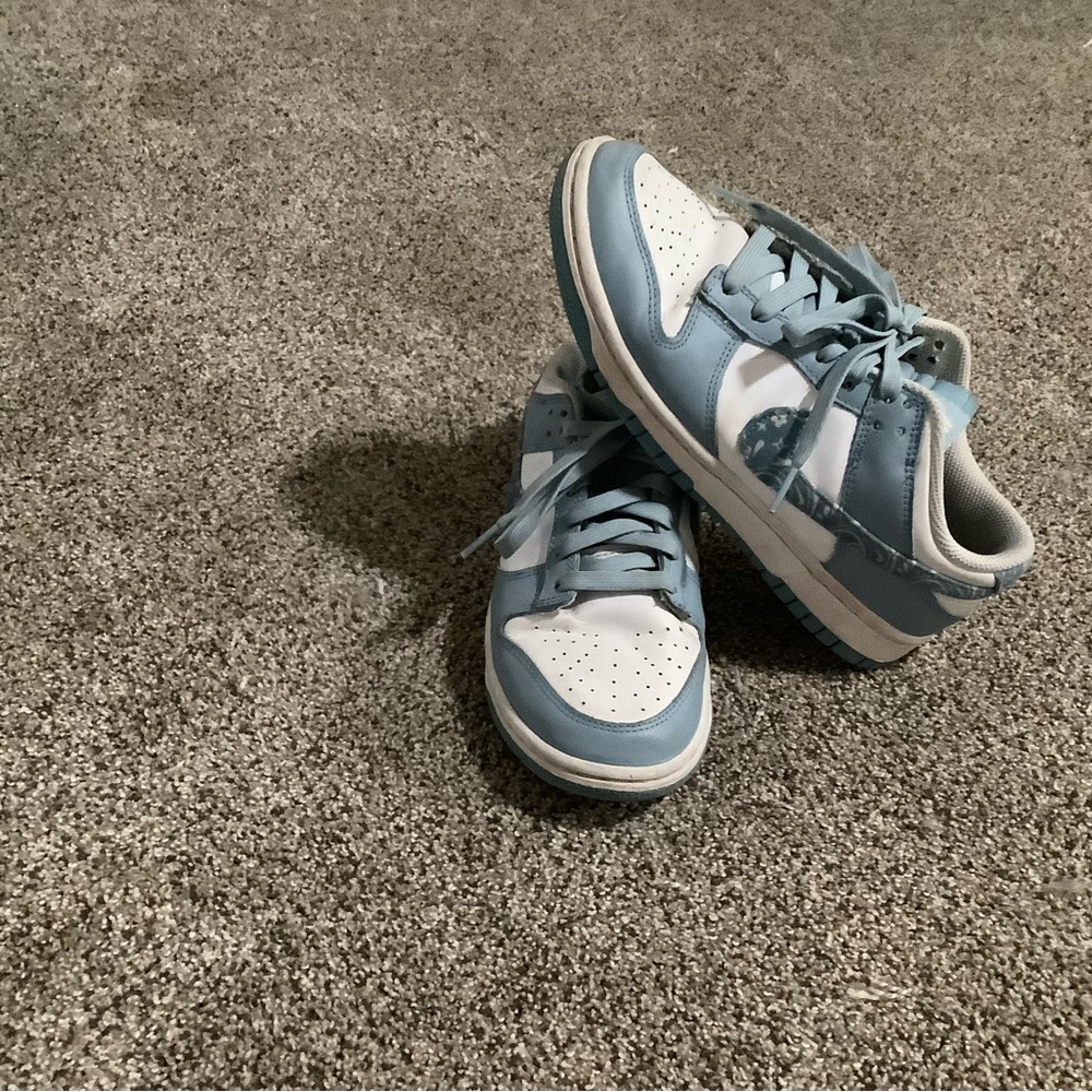 Nike Dunk Low Essential Paisley Pack Worn Blue